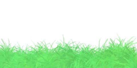 green grass isolated on white
