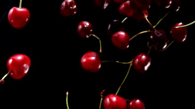Close-up of the red cherries falling down on a black background in slow motion