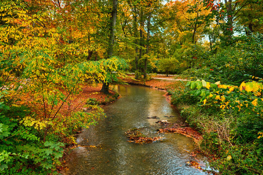 Munich English garden Englischer garten park in autumn. Munchen, Bavaria, Germany