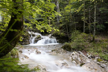 Fototapeta na wymiar Kesselberg Wasserfall in Kochel am See