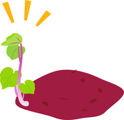 芽が出たサツマイモ