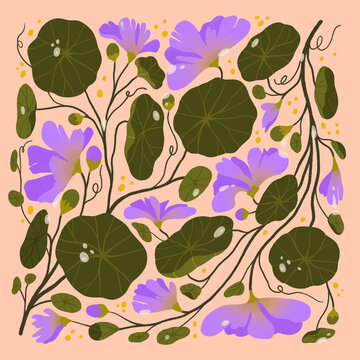 Nasturtiums in Purple