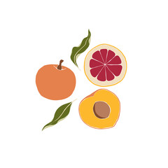 Peach and orange, whole sliced. Citrus sweet juicy fruit. Food and drink. Set of Abstract vector illustrations. Summer trendy simple icons. For instagram post, business advertisement, flyer design