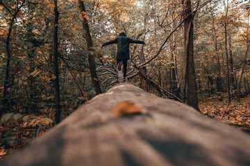 man on a broken tree in autumn