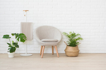 Contemporary interior design of living room with chair and plants