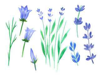 Fototapeta na wymiar Cute set of watercolor plants, wildflowers, lavender, bells. Hand draw full color illustrations for patterns, cards, congratulations, design. 