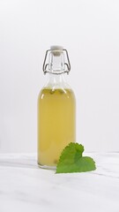 Healthy kombucha tea flavored with hops