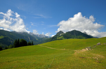 Fototapeta premium Grüne Bergwiesen und Blick auf Zahmer und Wilder Kaiser