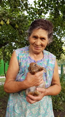Senior woman holds little rabbit in her elderly hands. Smiling 80s granny in summer garden. Grandmother and brown fur little rabbit