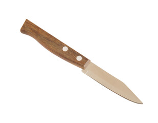 Small kitchen knife isolated on white background