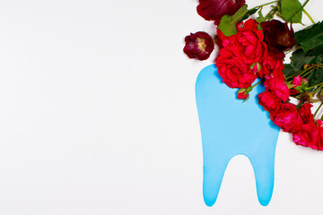 Greeting card for dentistry. Happy dentist day - blue tooth and rose flowers with place for text on white copy space banner.