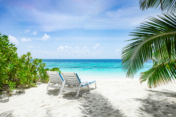 Perfect and beautiful white sand beach in Maldives or Seychelles Islands. Coconut Palm trees and beach lounger against blue sky, turquoise ocean. Sunny day. Travel nature landscape background.
