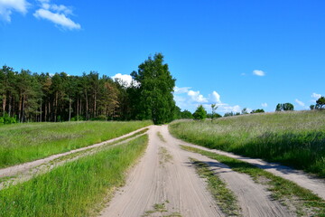 Fototapeta na wymiar A close up on a vast dirt road or walkway leading into a dense forest or moor located in the middle of two fields, meadows, or pasturelands seen on a warm cloudless sunny day in Poland