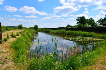 A close up on a vast river or lake with some water lillies and lilly pads floating in it seen next to a vast field, meadow, or pastureland and a coast covered with reeds seen on a sunny day in Poland