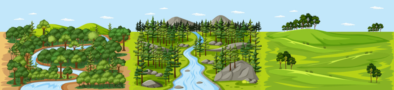 Stream in forest nature landscape scene