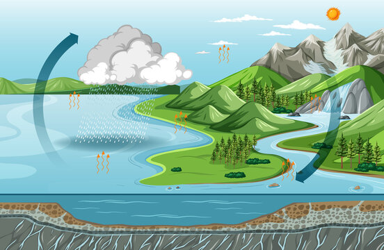 Water cycle diagram (Evaporation) with nature landscape scene