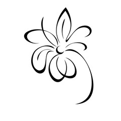 one stylized blooming flower on a short stalk without leaves in black lines on a white background