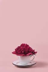 minimalistic modern still life on a pink background. mug with coffee and peony flower. festive concept with place for text