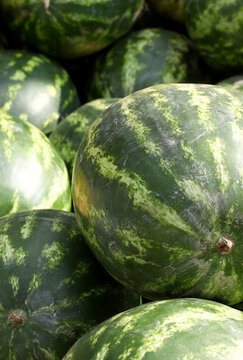 close-up watermelons on the market