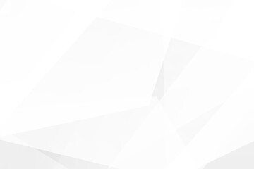 Abstract white and grey on light silver background modern design. Vector illustration EPS 10.
