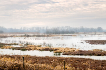 Gent Belgium - Dawn in the Bourgoyen-Ossemeersen nature reserve.