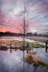 Gent, Belgium - January 13, 2021: Dawn in the Bourgoyen-Ossemeersen nature reserve.