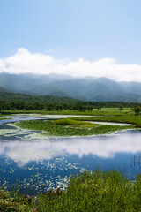 Fototapeta na wymiar 雲の写る湖と森　 北海道
