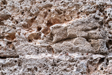 Sea stone background