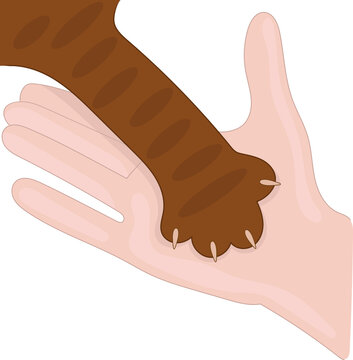Give paw. Human hand and cats paw vector illustration.