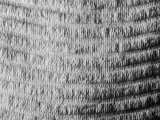 Black and white closeup of tissue