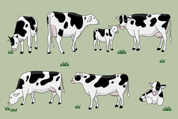 illustration cow,It's a cute cartoon style set on a green background with a calf standing, sitting, walking, eating grass.hand drawn.