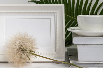fluffy dandelion and white photo frame on white background