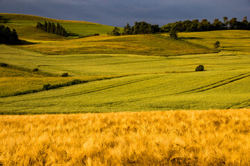 Mors, Denmark Agricultural landscape of the Mors island in central Denmark. © Alexander