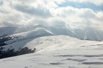 Winter Carpathian mountains on a frosty clear day with spruce trees covered with thick snow. Sunshine under the winter calm mountain landscape with beautiful fir trees on the slope. Tourism concept.