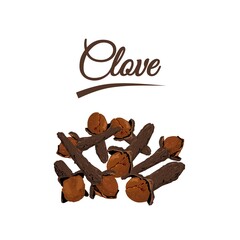 Vector illustration, pile of cloves (Syzygium aromaticum), isolated on white background.