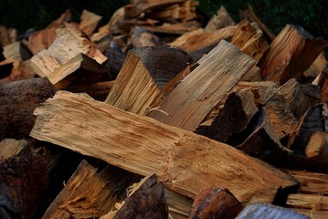 Wood logs, firewood