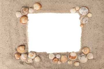 Frame of ribbed shells of different sizes laid out on a sandy surface with copy space in the middle