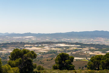Fototapeta na wymiar Panoramic view of crop fields and greenhouses located in the region of Murcia.