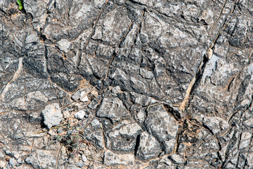 Background or texture of gray stone, twigs and pebbles