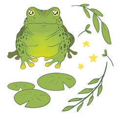 Set with frog twigs and leaves of water lilies.