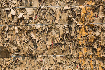 Paper pile and piece of cardboard
