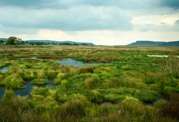 Foto op Plexiglas Wetlands conservation area on cloudy day © Brandon
