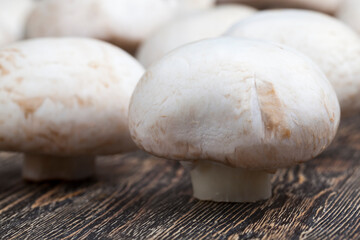 unwashed mushrooms champignon during cooking