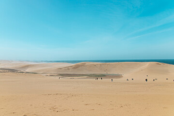 Fototapeta na wymiar Beautiful landscape Tottori Sand Dunes (Tottori Sakyu), located near the city of Tottori in Tottori Prefecture, in sunny day with blue sky. They form the large dune system over 2.4 km in Sanin, Japan