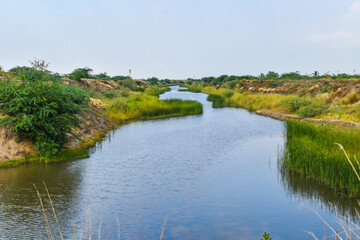 Fototapeta na wymiar landscape with pond and trees