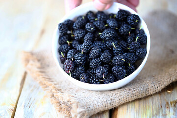 Selective focus. Fresh mulberry berries in a bowl.