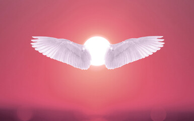 Angel White Wings In front of Sun With Sunset Sky Color. Angelis Wings,  spiritual Concept 