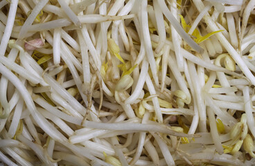 Full frame top view closeup fresh raw bean sprouts