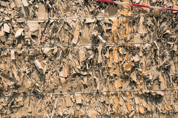 Paper pile and piece of cardboard