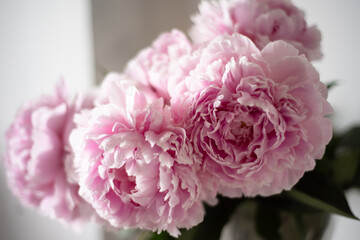 A bouquet of pink peonies in the apartment, top view. Flower frame. A frame made of flowers. Color texture